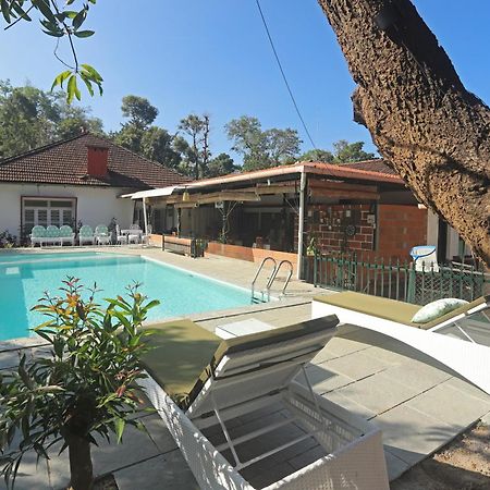 Devi Villa - Plantation Retreat And Forest Getaway Kutta Eksteriør bilde