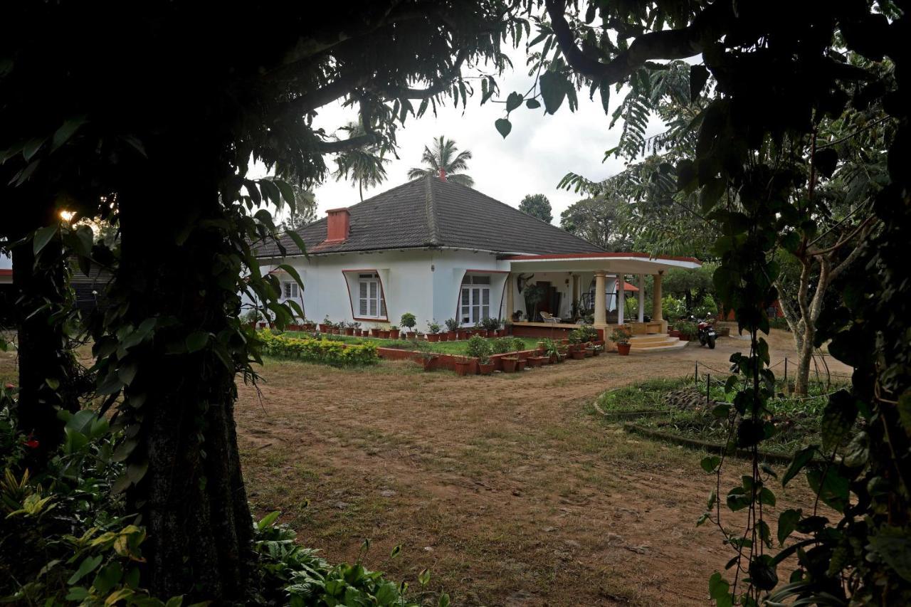 Devi Villa - Plantation Retreat And Forest Getaway Kutta Eksteriør bilde