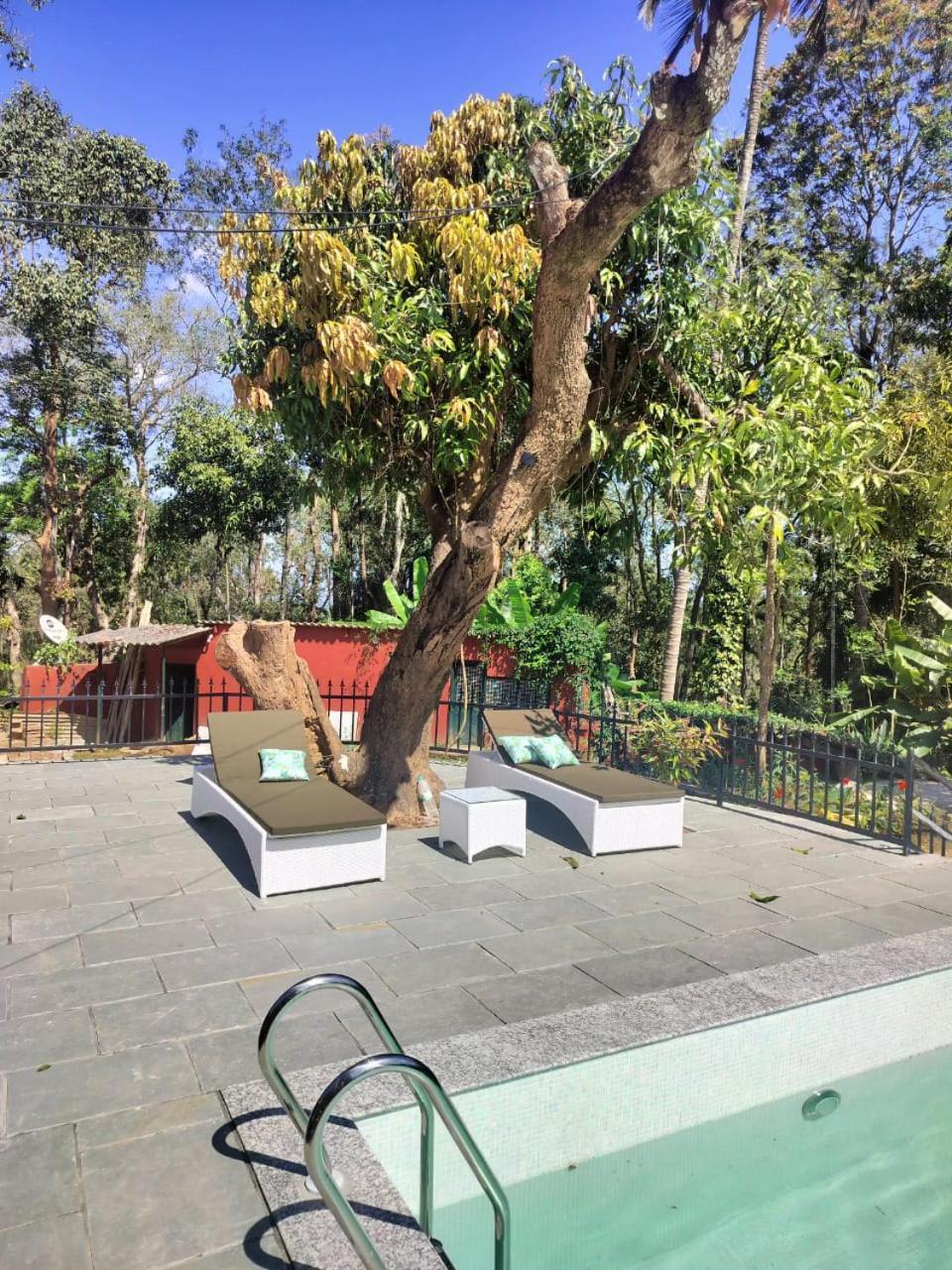 Devi Villa - Plantation Retreat And Forest Getaway Kutta Eksteriør bilde